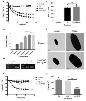 Vancomycin-Loaded Nanoparticles Enhance Sporicidal and Antibacterial Efficacy for Clostridium difficile Infection